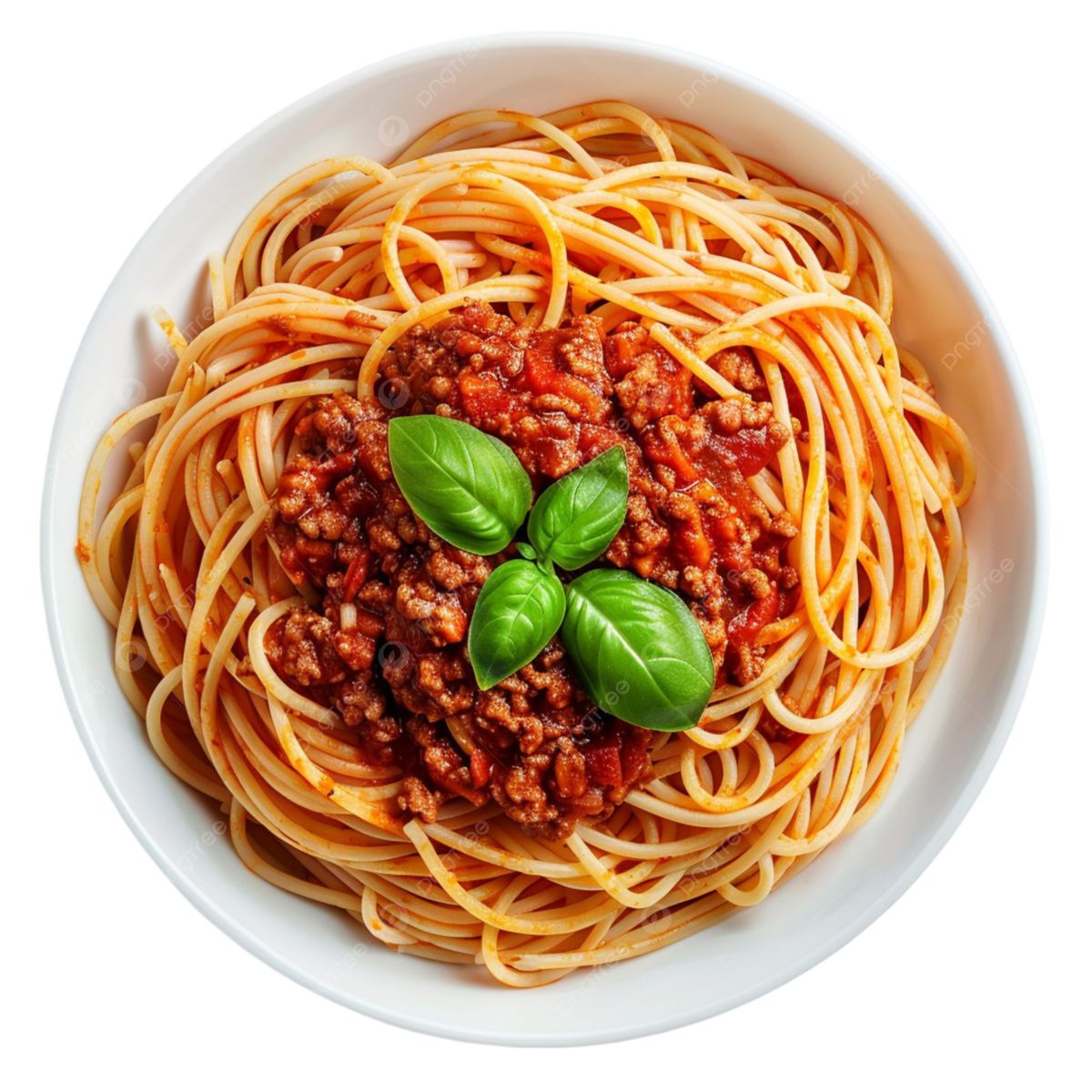 Pâte Bolognaise
